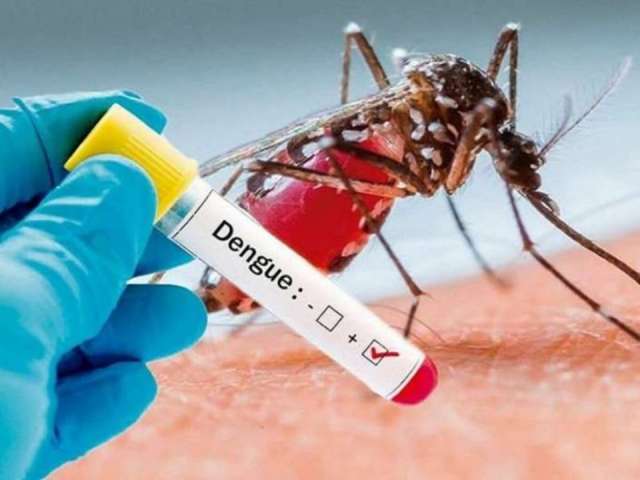 Arapiraca contabiliza 501 casos de dengue, diz novo boletim epidemiológico