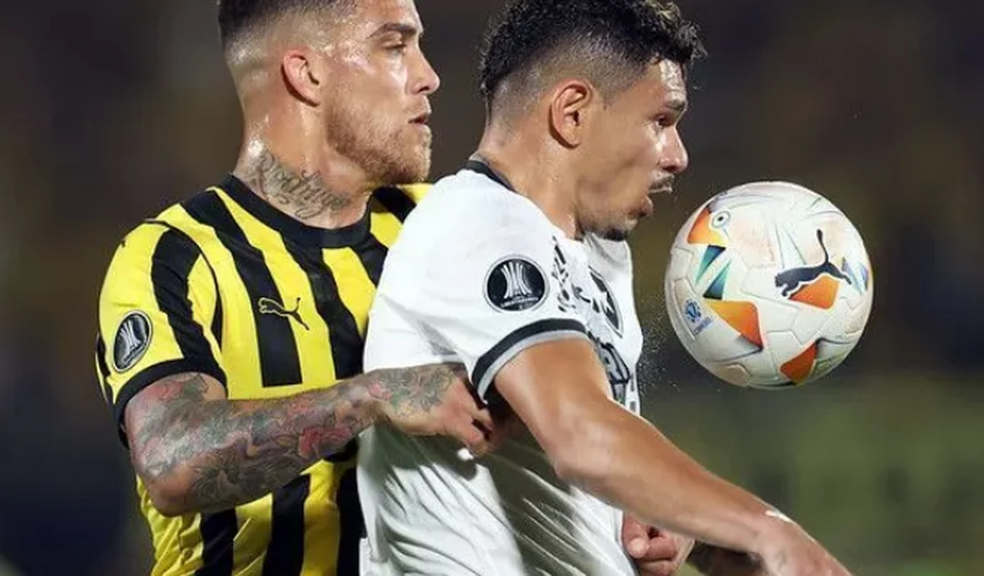 Botafogo elimina Peñarol e disputará final da Libertadores contra o Atlético Mineiro