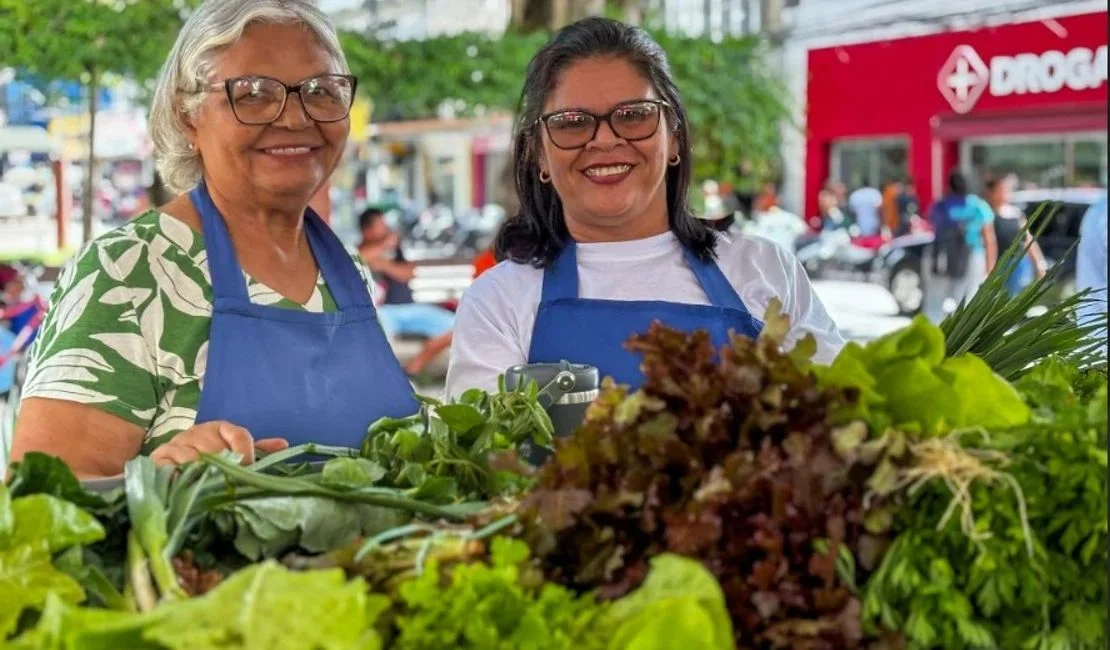 Hortaliças substituem fumo e transformam economia no Agreste de Alagoas