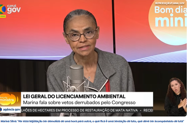 Licenciamento ambiental: a boiada passou