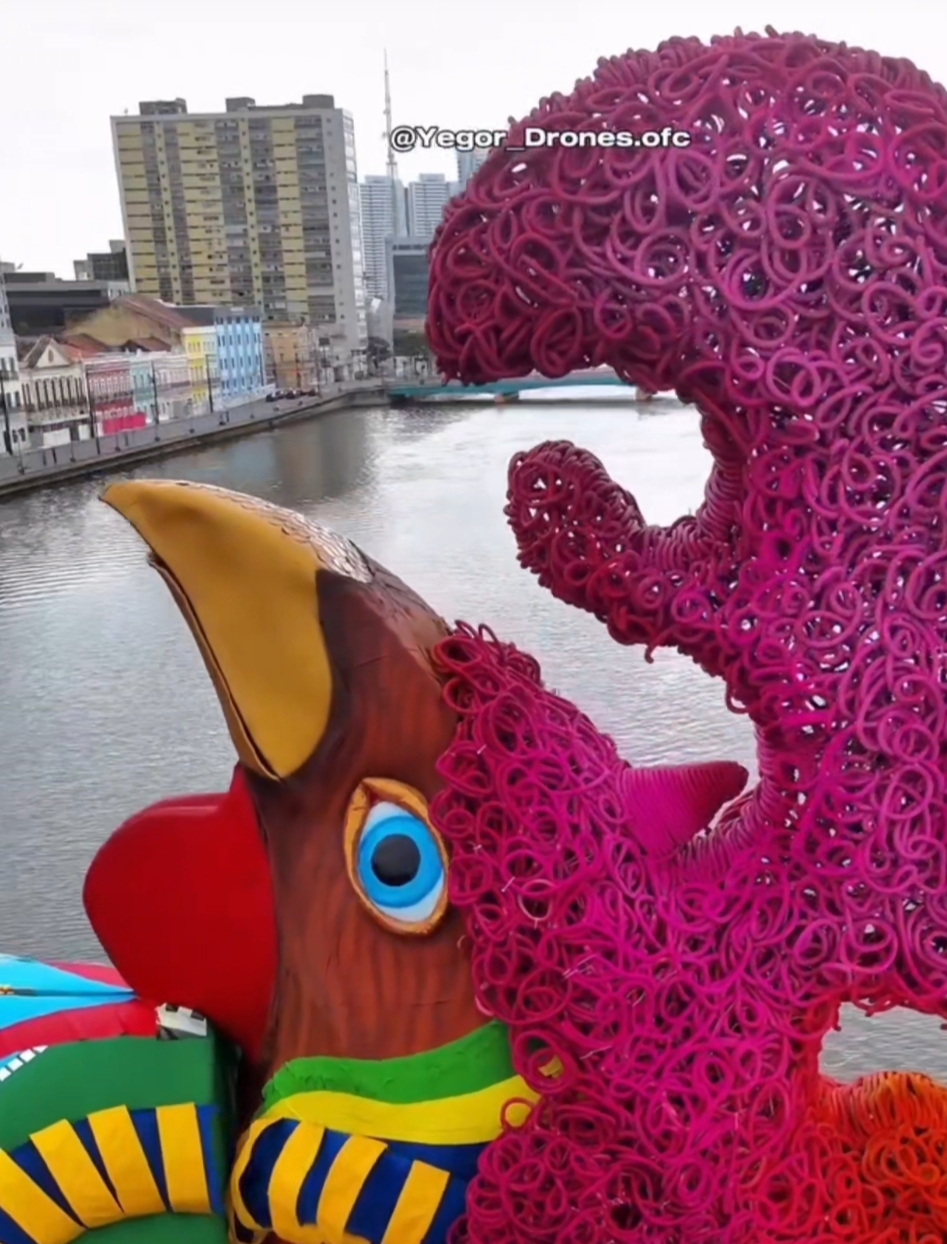 Galo Folião Fraterno: quando o Carnaval do Recife canta fraternidade, cuidado e esperança