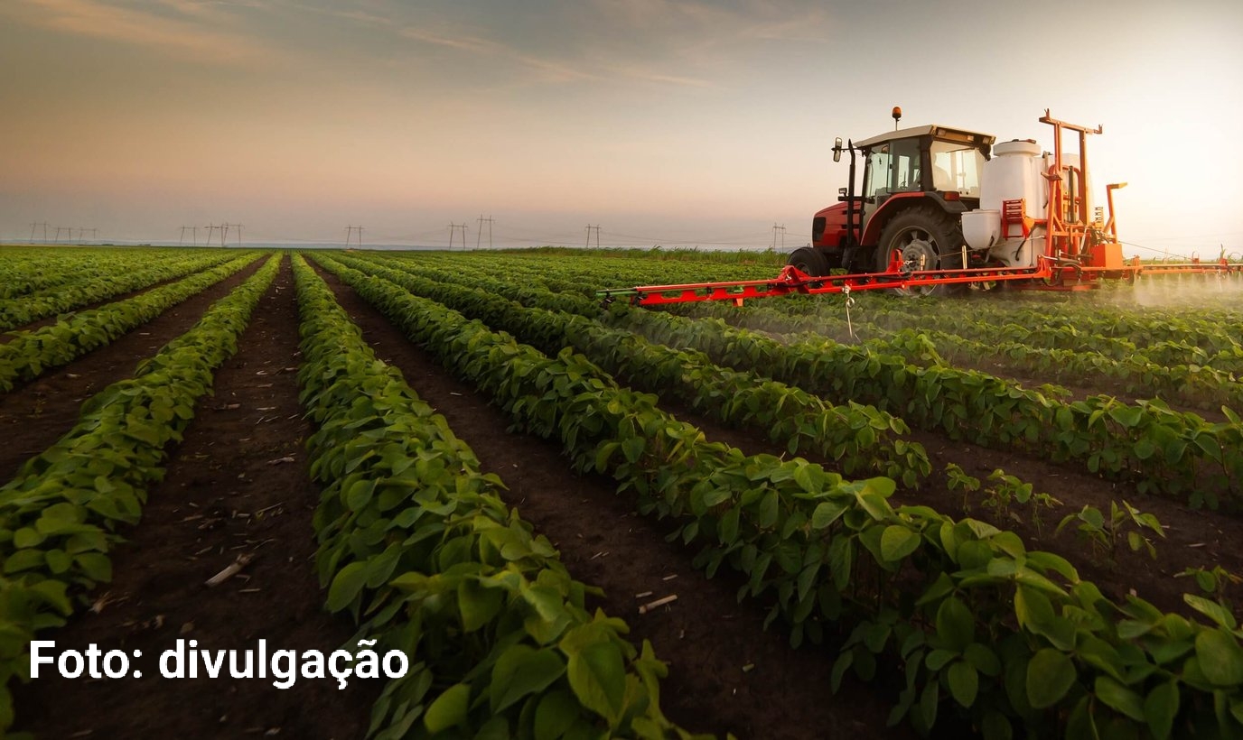 PIB do Brasil cresce 2,3% em 2025, com agro liderando expansão e juros freando consumo